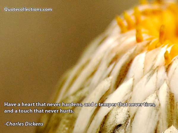 Charles Dickens Quotes3