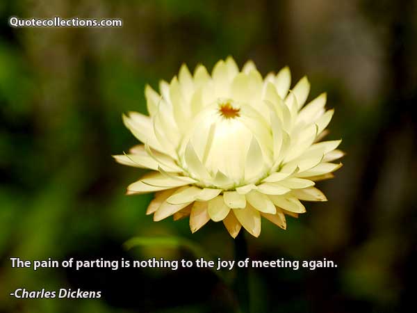Charles Dickens Quotes6