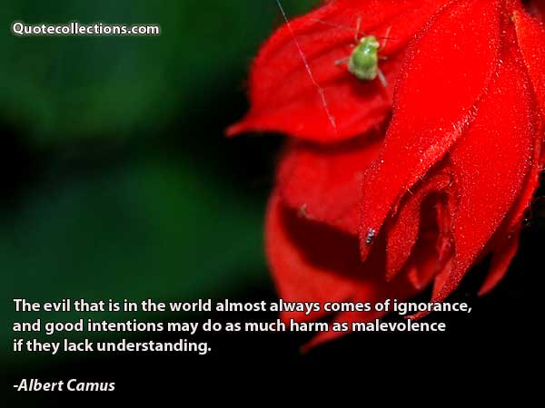 Albert Camus quotes6