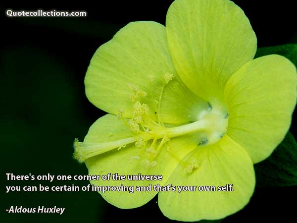 Aldous Huxley quotes7