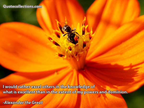 Alexander The Great quotes4