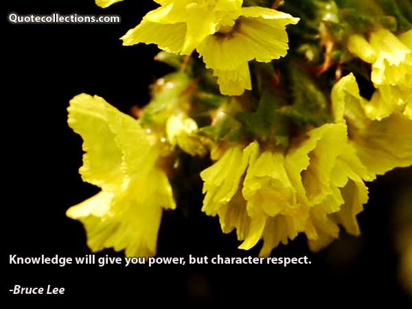 Bruce Lee quotes7