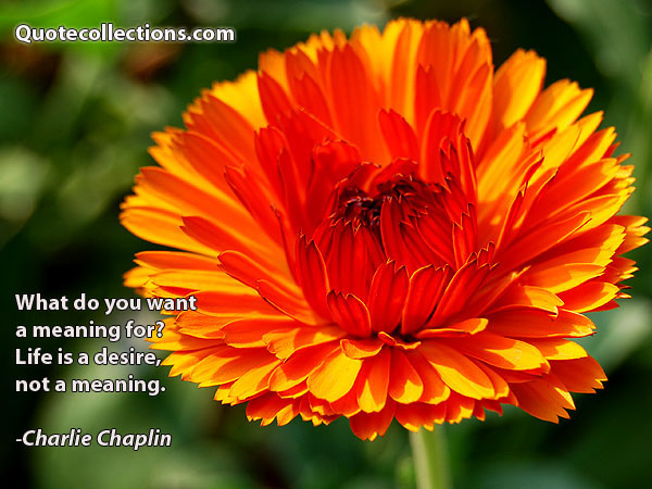 Charlie Chaplin quotes 4