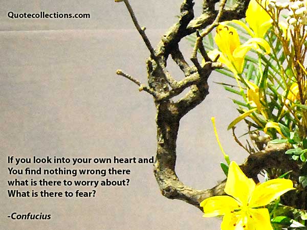 Confucius Quotes3