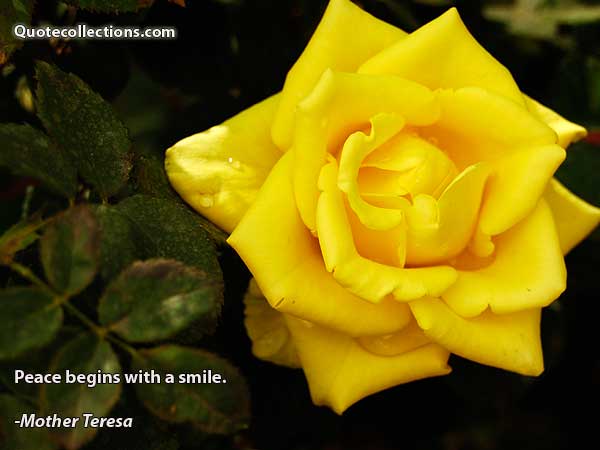 Mother Teresa Quotes1