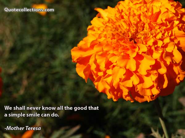 Mother Teresa Quotes4