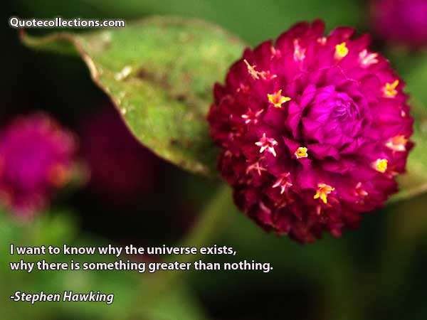 Stephen Hawking Quotes2