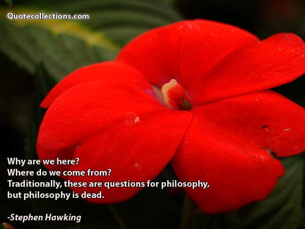 Stephen Hawking Quotes5