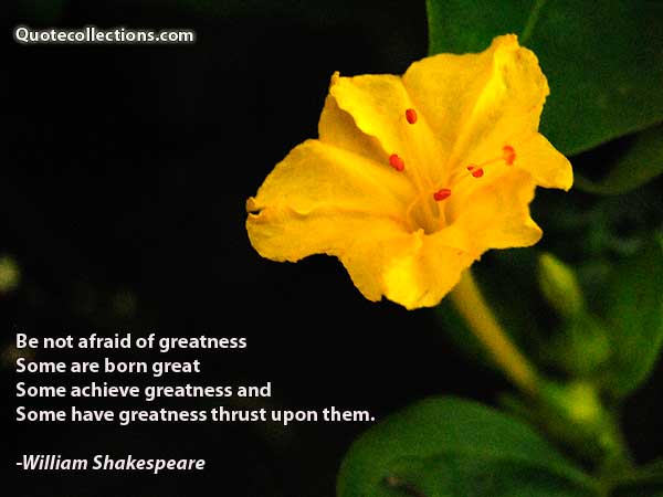 William Shakespeare Quotes5
