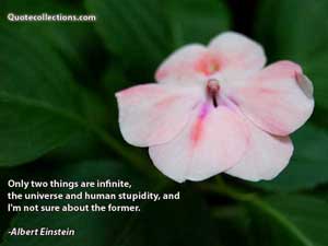Albert Einstein Quotes 3