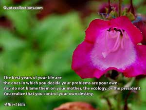 Albert Ellis Quotes 3