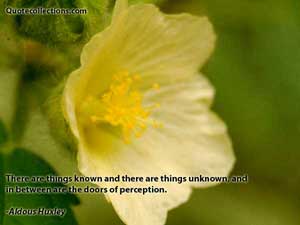 Aldous Huxley Quotes 2