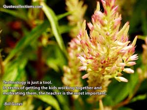 Bill Gates Quotes 3