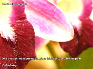 Bob Marley Quotes 2