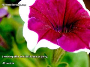 Bruce Lee Quotes 5