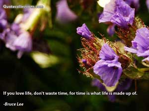 Bruce Lee Quotes 3