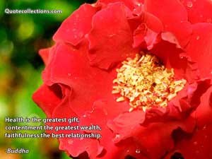 Buddha Quotes 5