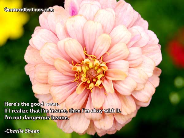 Charlie Sheen Quotes2