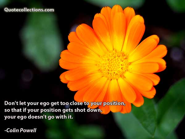 Colin Powell Quotes5
