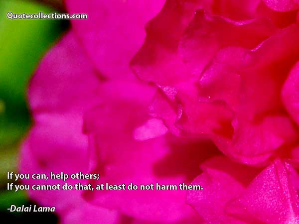 Dalai Lama Quotes9