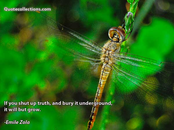 Emile Zola Quotes3