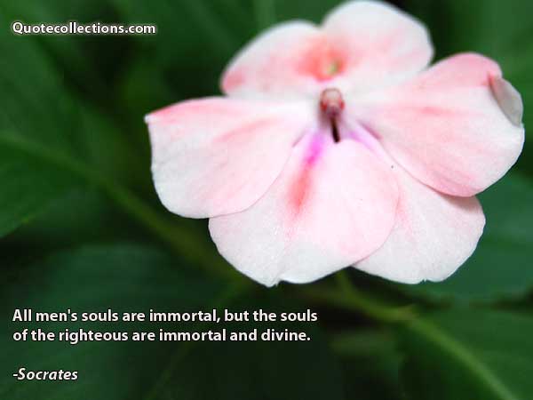 Socrates Quotes3