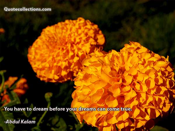 abdul kalam quotes3