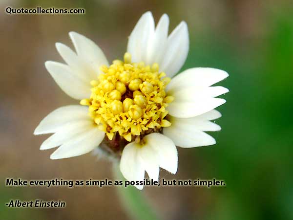 Albert einstein quotes10