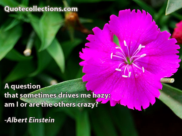 Albert einstein quotes13