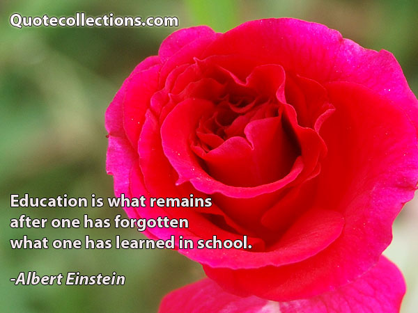 Albert einstein quotes18