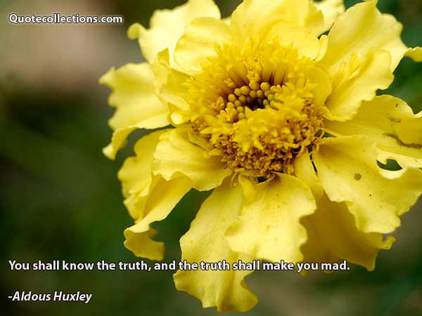 Aldous Huxley quotes9