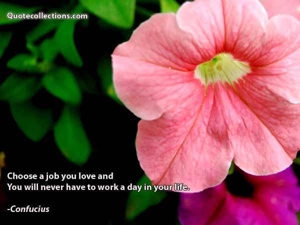 Confucius Quotes1