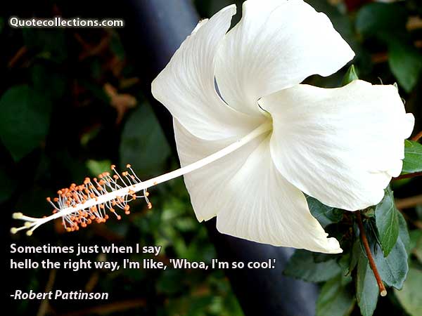 Robert Pattinson Quotes6